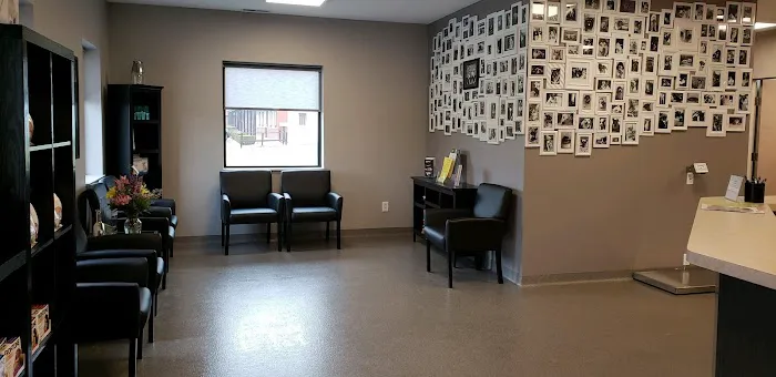 Shelton Veterinary Care Picture 5