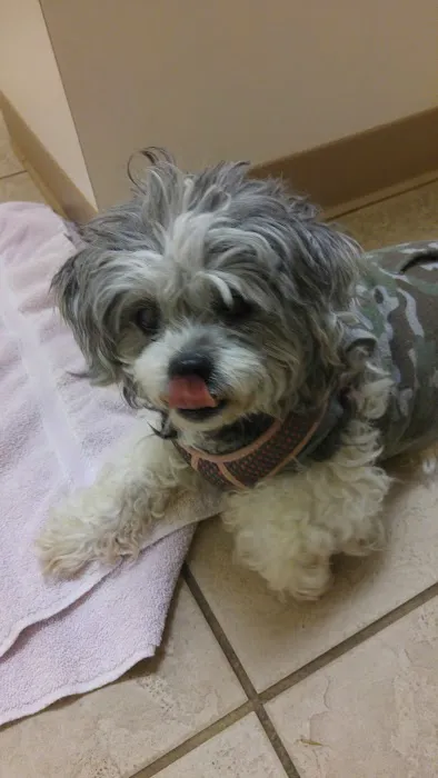 Hillview Veterinary Clinic Picture 9