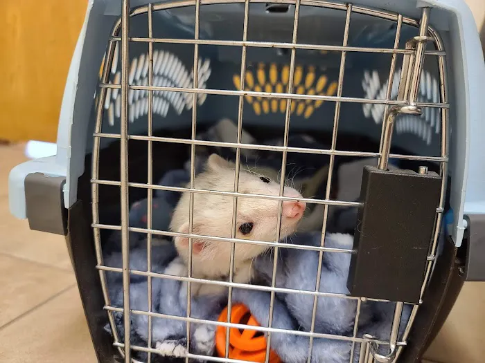Hillview Veterinary Clinic Picture 10