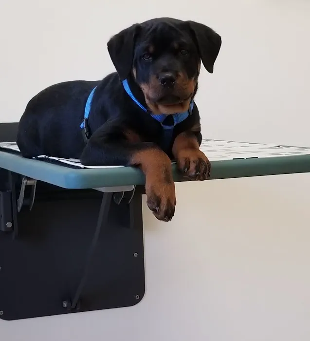 Hillview Veterinary Clinic Picture 8