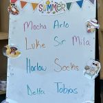 Ingalls Pet Wellness Clinic
