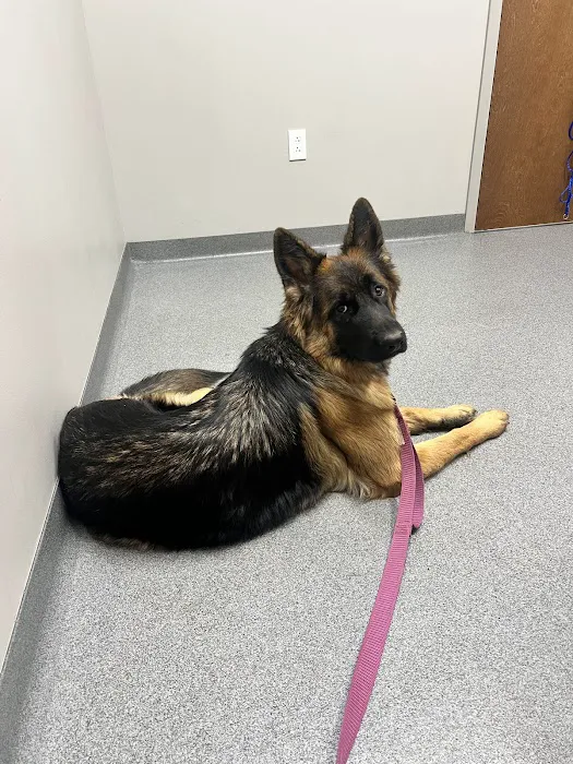 Ingalls Pet Wellness Clinic Picture 4