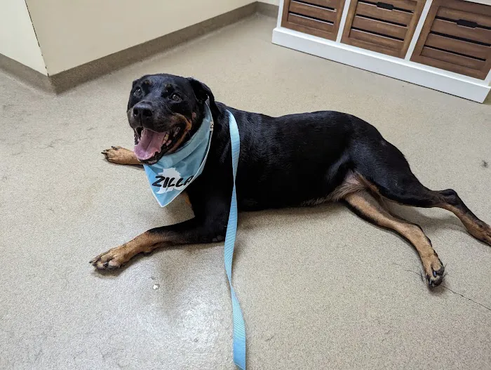 Buck Creek Veterinary Clinic Picture 9