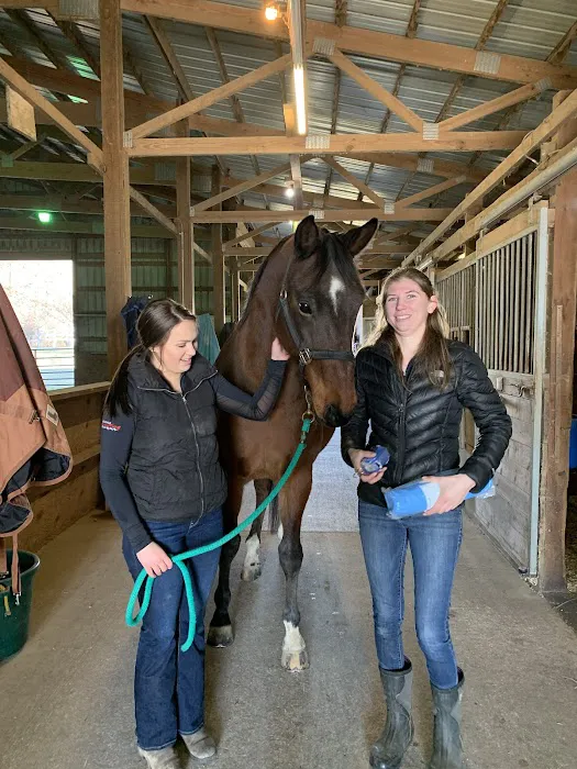 SKILLMAN Veterinary Services- Equine Veterinarian Clinic Picture 9