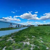 SKILLMAN Veterinary Services- Equine Veterinarian Clinic ico