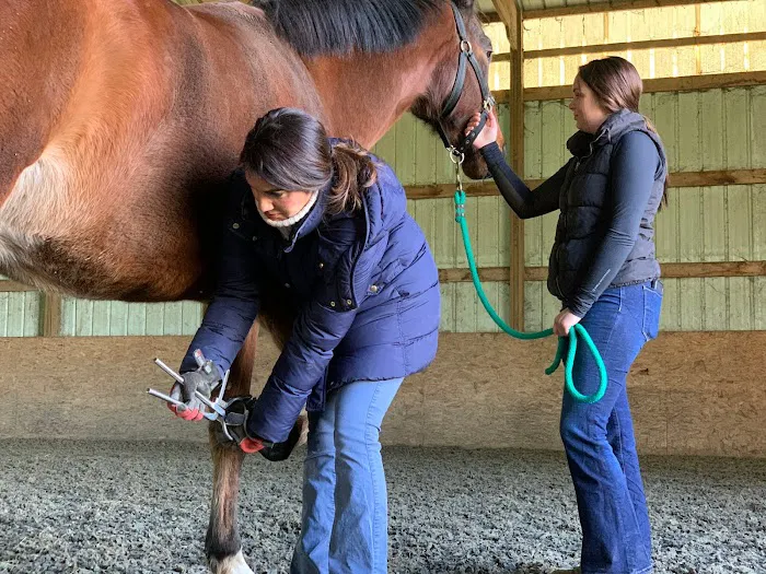 SKILLMAN Veterinary Services- Equine Veterinarian Clinic Picture 7