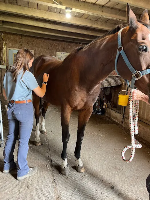SKILLMAN Veterinary Services- Equine Veterinarian Clinic Picture 10