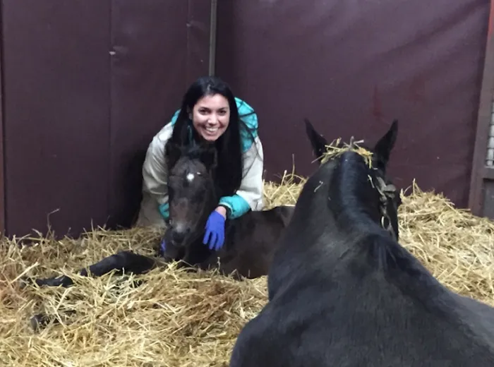 SKILLMAN Veterinary Services- Equine Veterinarian Clinic Picture 8