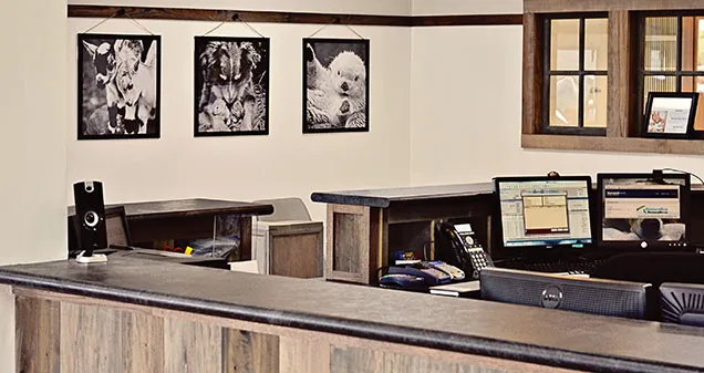 Devonshire Veterinary Clinic Picture 4
