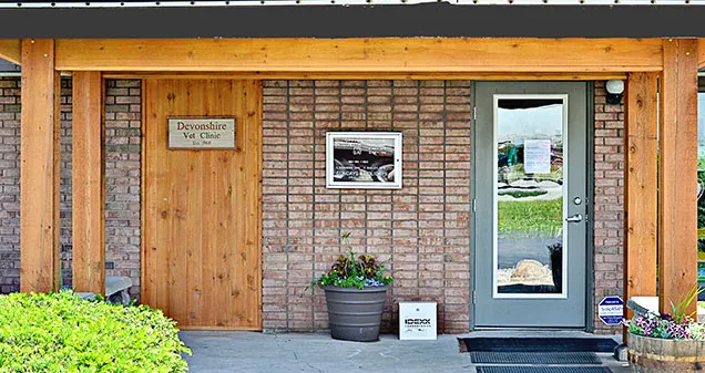Devonshire Veterinary Clinic Picture 2