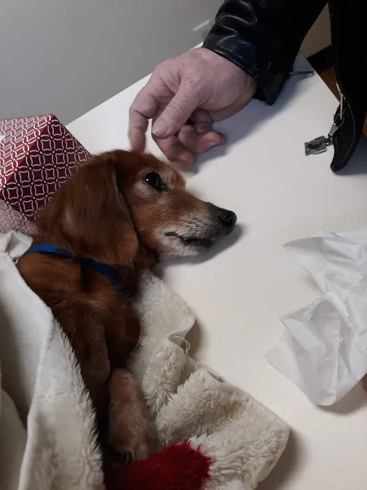 Pat's Pet Clinic Picture 9