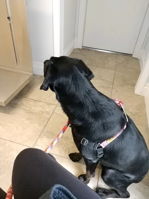 New Castle Animal Hospital: Boe Jamie A DVM Picture 1