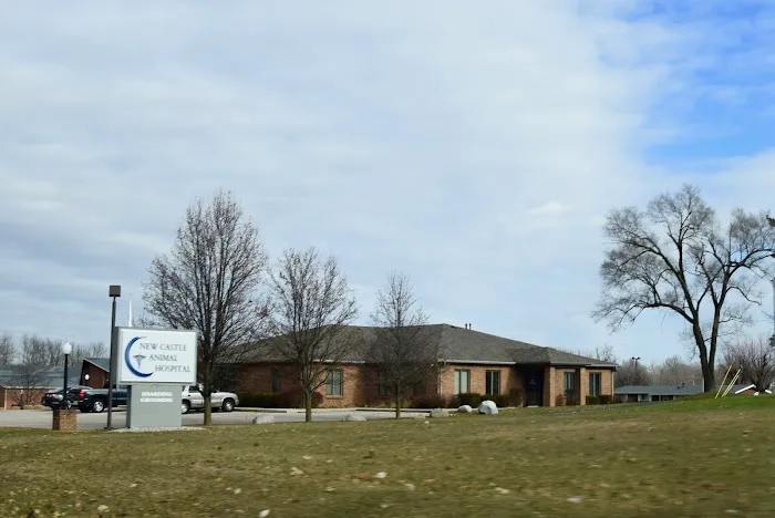 New Castle Animal Hospital Picture 6