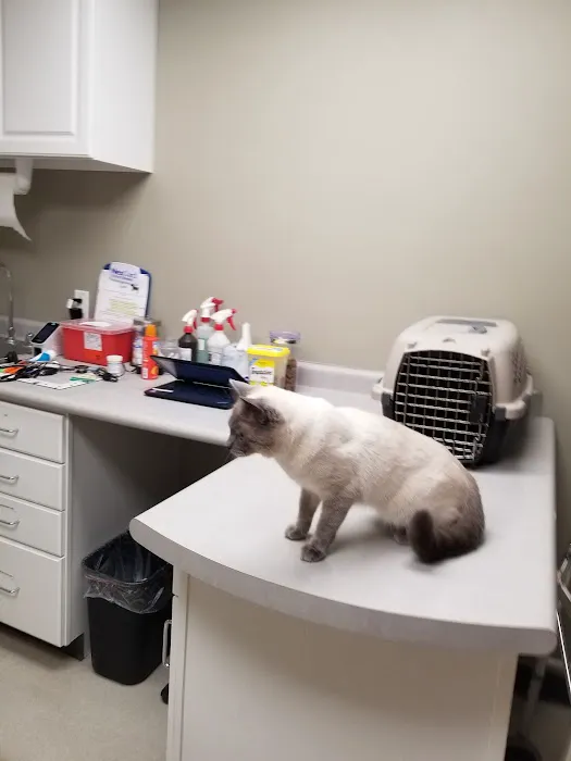 Country Acre Animal Clinic Inc Picture 8