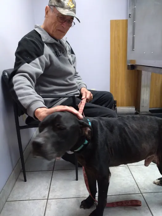 Middletown Animal Hospital Picture 3