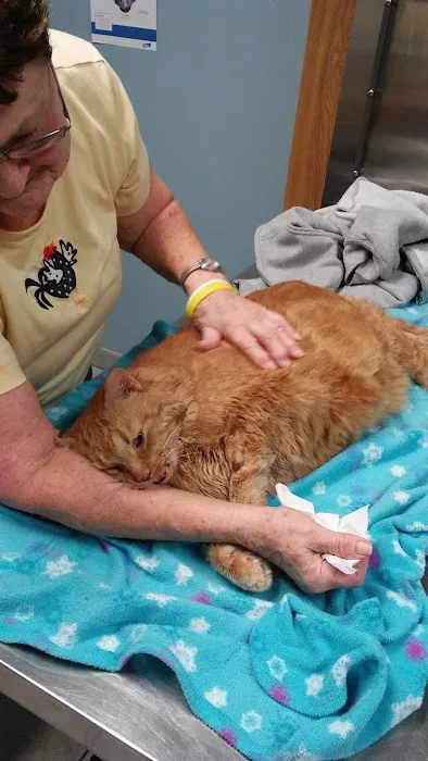 Middletown Animal Hospital Picture 2