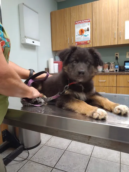 Middletown Animal Hospital Picture 1