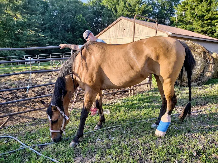 West Central Veterinary Services - Greencastle Picture 10