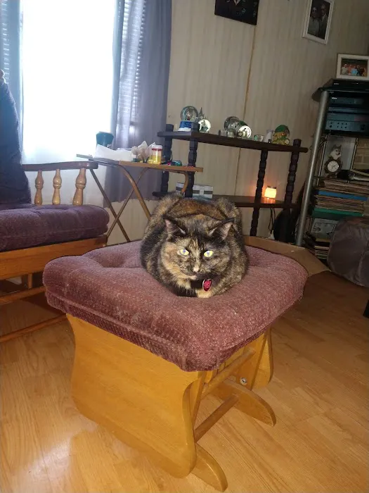 West Central Veterinary Services - Greencastle Picture 8
