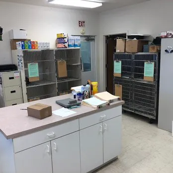New Ross Veterinary Services Picture 1