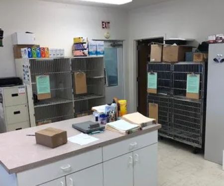 New Ross Veterinary Services