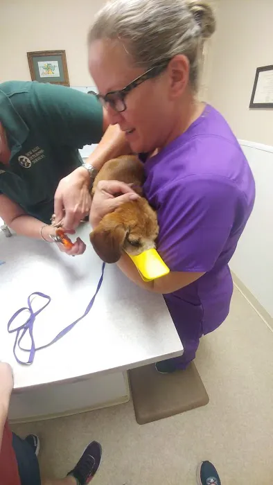 New Ross Veterinary Services Picture 6