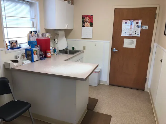 New Ross Veterinary Services Picture 4