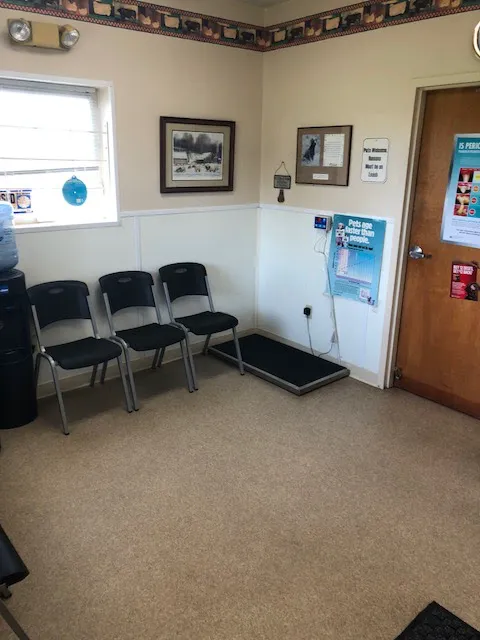 New Ross Veterinary Services Picture 5
