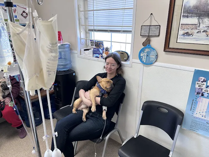 New Ross Veterinary Services Picture 10