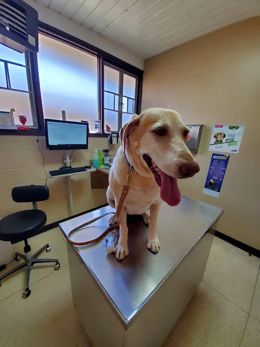Colma Animal Hospital Picture 6