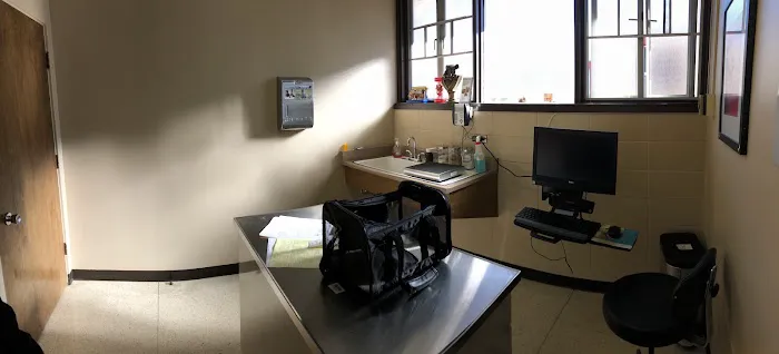 Colma Animal Hospital Picture 4