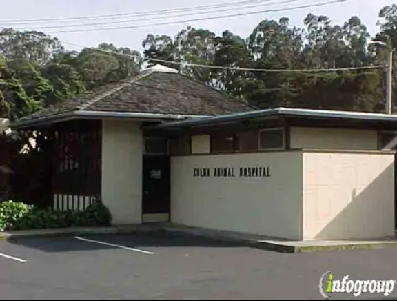 Colma Animal Hospital Picture 5