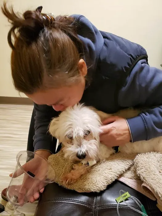 Banfield Pet Hospital Picture 1