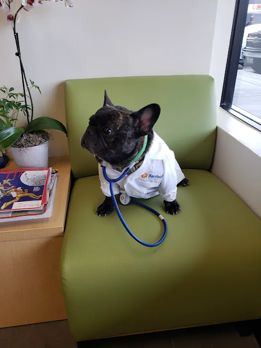 Banfield Pet Hospital Picture 7