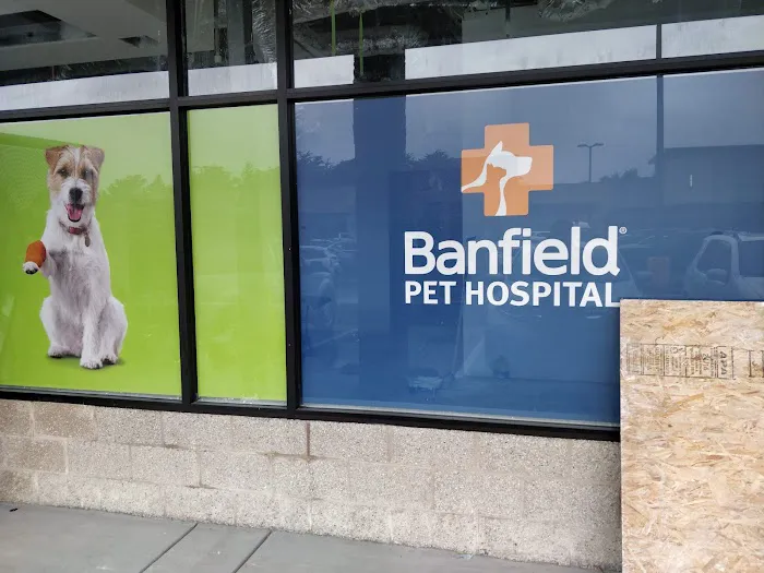 Banfield Pet Hospital Picture 10