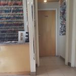 Westborough Pet Hospital