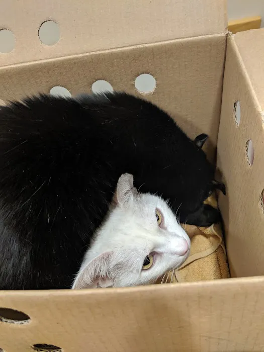 Westborough Pet Hospital Picture 4