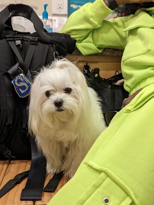 Westborough Pet Hospital Picture 3