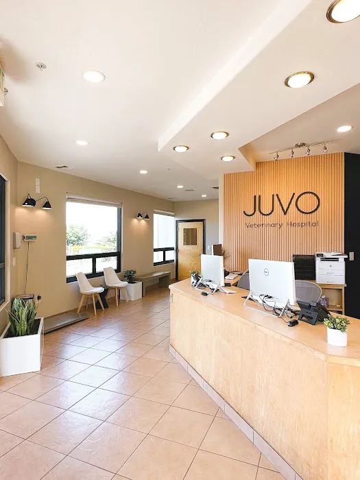 Juvo Veterinary Hospital Picture 4