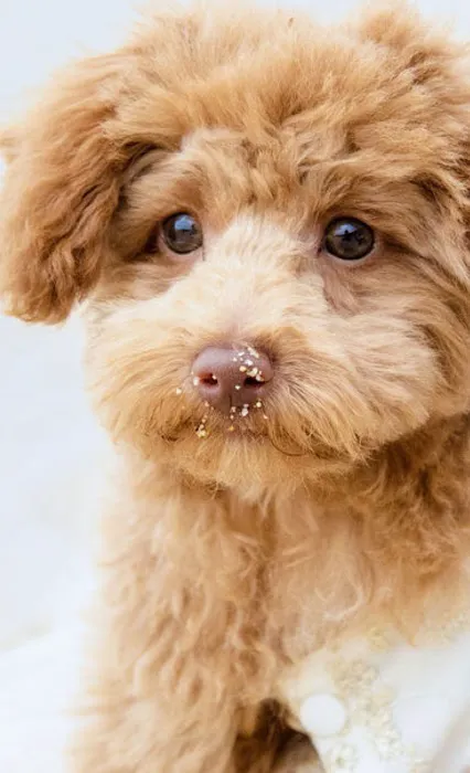 Juvo Veterinary Hospital Picture 7