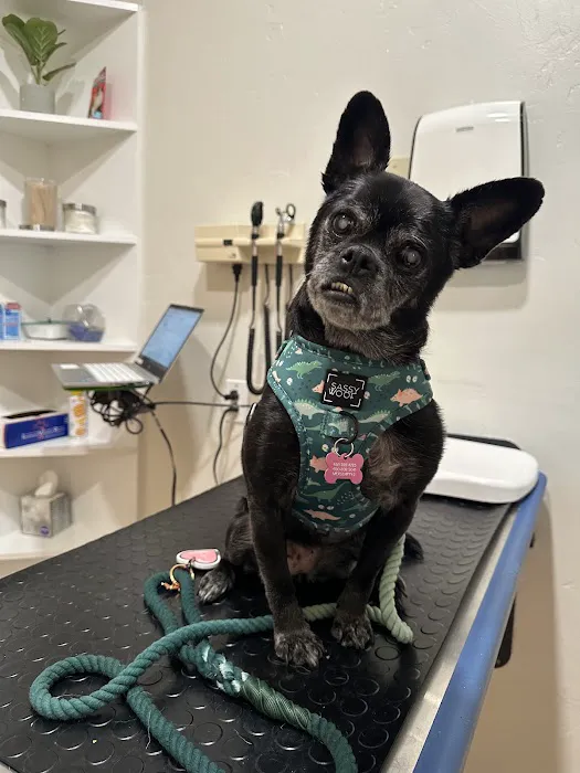 Juvo Veterinary Hospital Picture 2