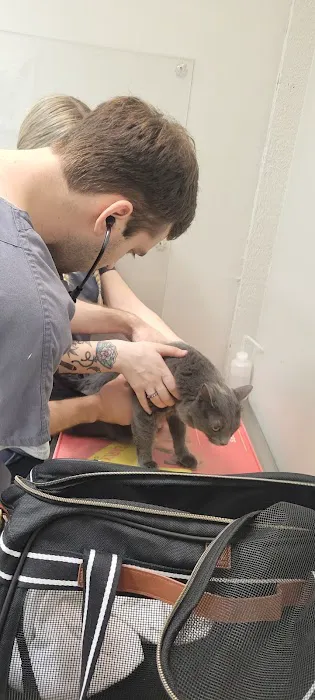 Southshore Animal Hospital at Frenchman's Creek Picture 1