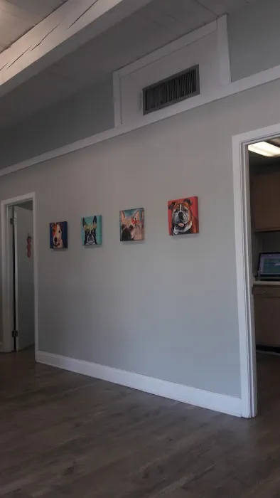 Southshore Animal Hospital at Frenchman's Creek Picture 5
