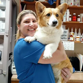 Metairie Small Animal Hospital - West Esplanade Clinic Picture 3