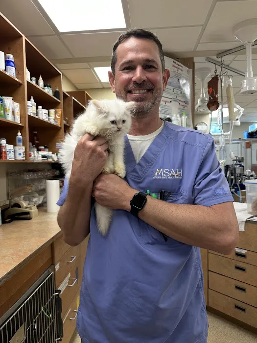 Metairie Small Animal Hospital - West Esplanade Clinic Picture 8