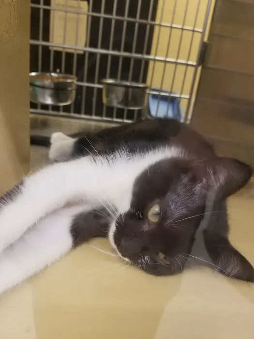 Banfield Pet Hospital Picture 5