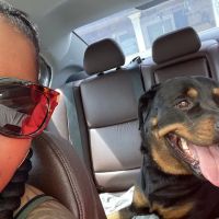 Banfield Pet Hospital ico