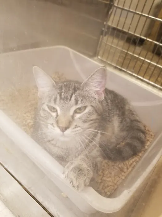 Banfield Pet Hospital Picture 4