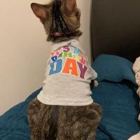 Woodlawn Animal Hospital ico
