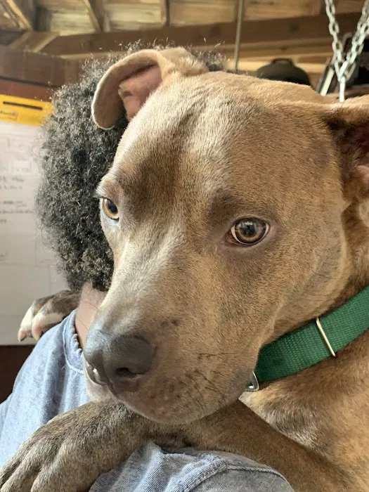 Woodlawn Animal Hospital Picture 9